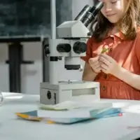 metodologias activas